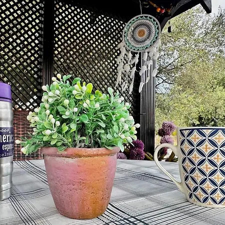 Cheerful And Cozy With Pool And Fireplace 度假居 *