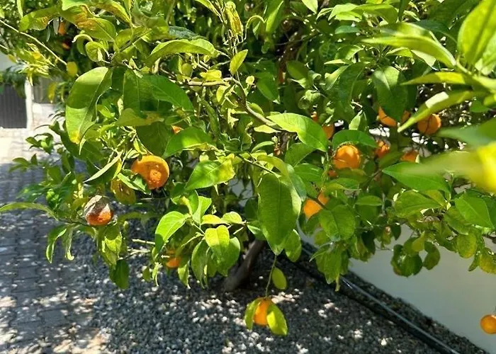 Cheerful And Cozy With Pool And Fireplace 別荘