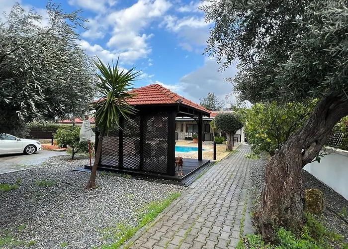 Cheerful And Cozy With Pool And Fireplace