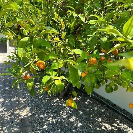 Cheerful And Cozy With Pool And Fireplace 펜션