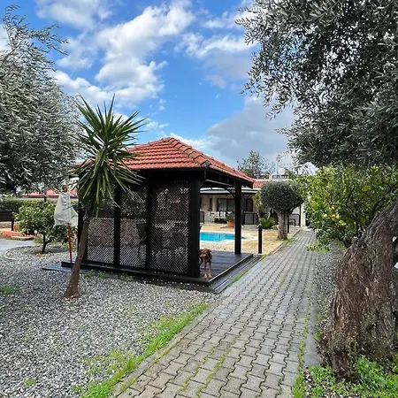 Cheerful And Cozy With Pool And Fireplace