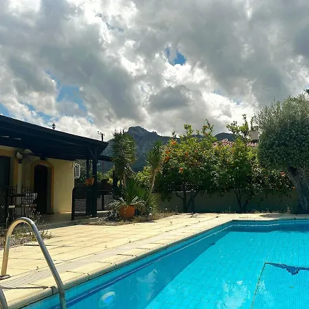 Cheerful And Cozy With Pool And Fireplace * Athalassa